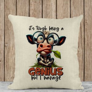Μαξιλάρι Λινό | It's tough being a genius