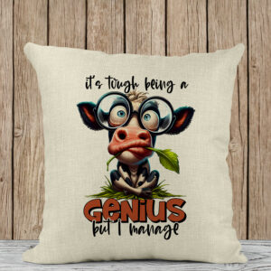 Μαξιλάρι Λινό | It's tough being a genius