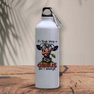 Μεταλλικό μπουκάλι 800 ml | It's tough being a genius